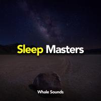 Artwork for Sleep Masters by Whale Sounds