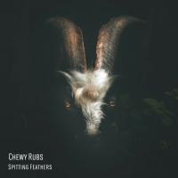 Artwork for Spitting Feathers by Chewy Rubs