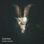 Artwork for Spitting Feathers (Original Mix)