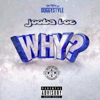 Artwork for Why? by Jooba Loc