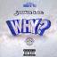 Artwork for Why?