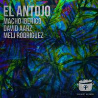 Artwork for El Antojo (Meli Rodriguez Remix) by David Aarz