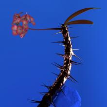 Artwork for "Hyperreal" by Flume, KUČKA