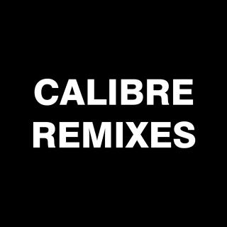 Artwork for With You (Calibre Remix)