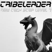 Artwork for New Tech Step Level 7 by Tribeleader