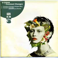 Artwork for Constant Changes by V-Cious