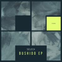Artwork for Bushido EP by Seleck