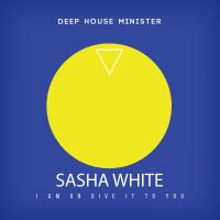 Artwork for I Am On Give It To You by Sasha White