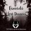 Artwork for Lost Dreams