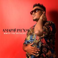 Artwork for Amaphuph'am by Mwezi The Vocalist