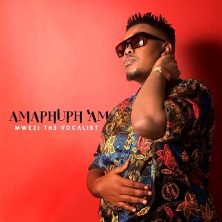 Artwork for Awupheli