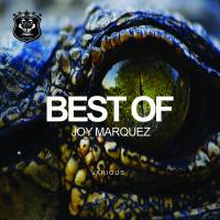 Artwork for Best Of by Joy Marquez