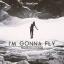 Artwork for I'm Gonna Fly (Radio Edit)