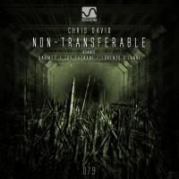 Artwork for Non-Transferable by Chris David