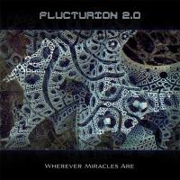 Flucturion 2.0