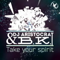 Artwork for Take Your Spirit by DJ Aristocrat