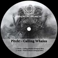 Artwork for Calling Whales by Pitch!