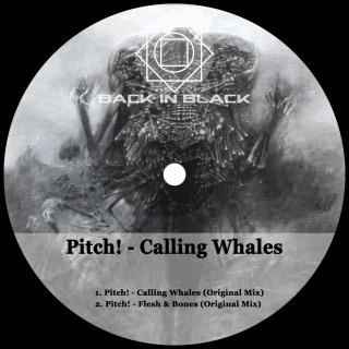 Artwork for Calling Whales