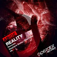 Artwork for Reality by Abide