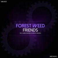 Artwork for Friends by Forest Weed