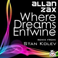 Artwork for Where Dreams Entwine by Allan Zax