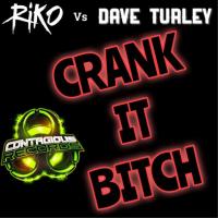 Artwork for Crank It Bitch by Riko