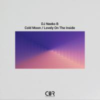 Artwork for Cold Moon / Lovely On The Inside by DJ Neeko B