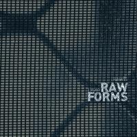 Artwork for 1 Year RAW FORMS by Various Artists