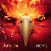 Artwork for Phoenix by Young Dro