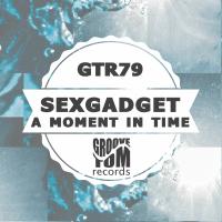 Artwork for A Moment In Time by Sexgadget