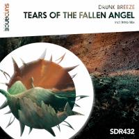 Artwork for Tears Of The Fallen Angel by Drunk Breeze