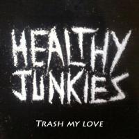Artwork for Trash My Love - Single by Healthy Junkies