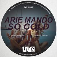 Artwork for So Cold by Arie Mando