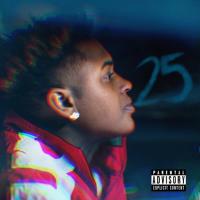 Artwork for 25 by Derek King