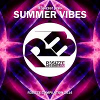 Artwork for R3sizzer pres. Summer Vibes 2014 by Various Artists