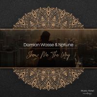 Artwork for Show Me The Way by Damian Wasse