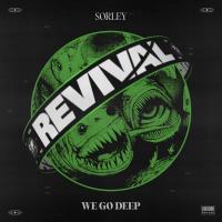 Artwork for We Go Deep by Sorley