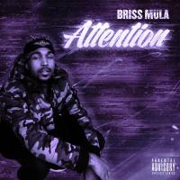 Artwork for Attention by Briss Mula