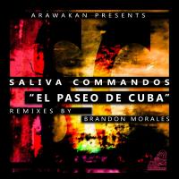 Artwork for Paseo De Cuba by Saliva Commandos