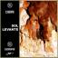 Artwork for SOL LEVANTE (Original)