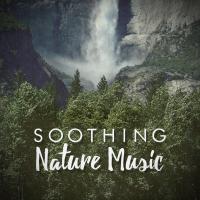 Artwork for Soothing Nature Music by Nature Sounds Nature Music