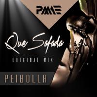 Artwork for Que Safada by Peibollr