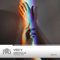 Artwork for Miracle by VEKY