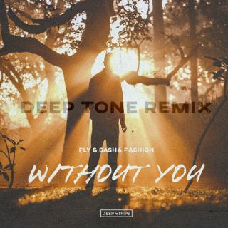 Artwork for Without You (Deep Tone Remix)