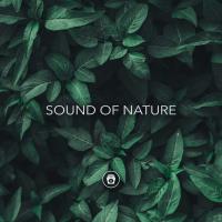 Artwork for Sound Of Nature by Rain for Deep Sleep