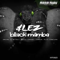 Artwork for Black Mamba by Lez!