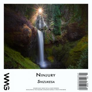 Artwork for Through The Night (Radio Mix)