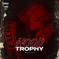 Artwork for Hood Trophy by Bolski