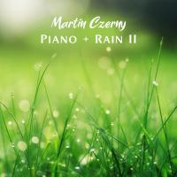 Artwork for Piano + Rain II by Martin Czerny
