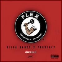 Artwork for Flex (All We Do) by bigga bands